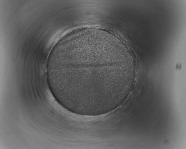 X0000113630002200910091606