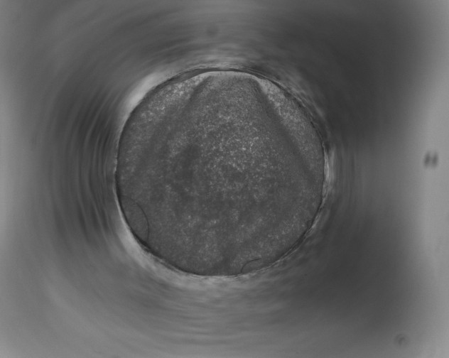 X0000113630003200910091606