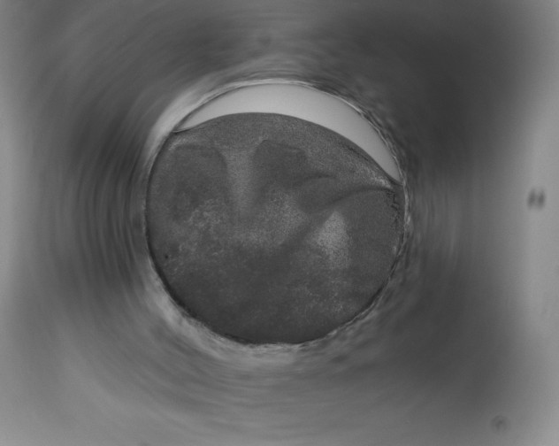 X0000113630004200910091606