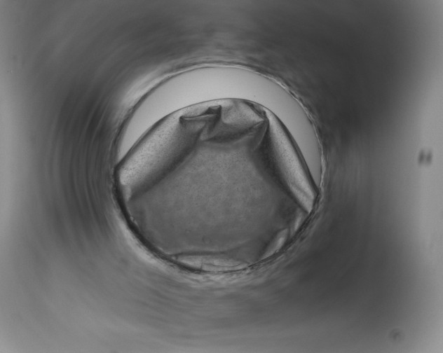 X0000113630005200910091606