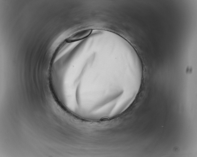 X0000113630007200910091606