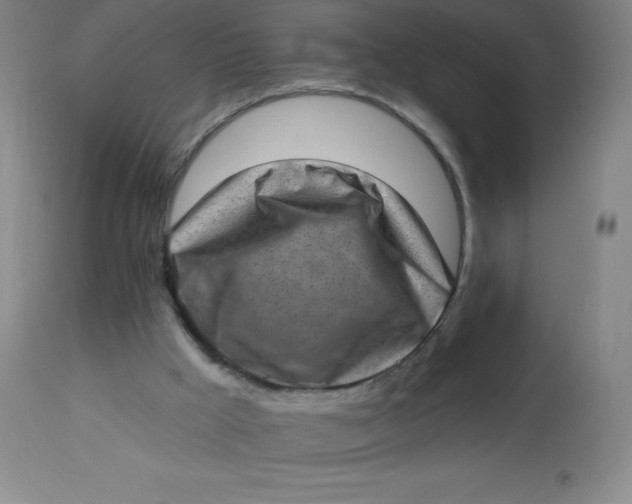 X0000113630009200910091606