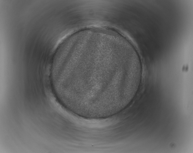 X0000113630010200910091606