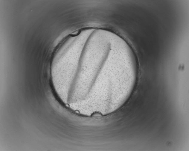 X0000113630011200910091606