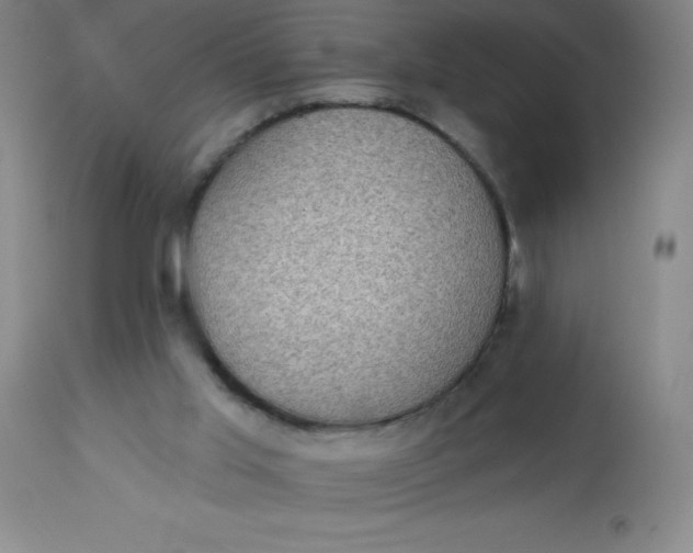 X0000113630013200910091606