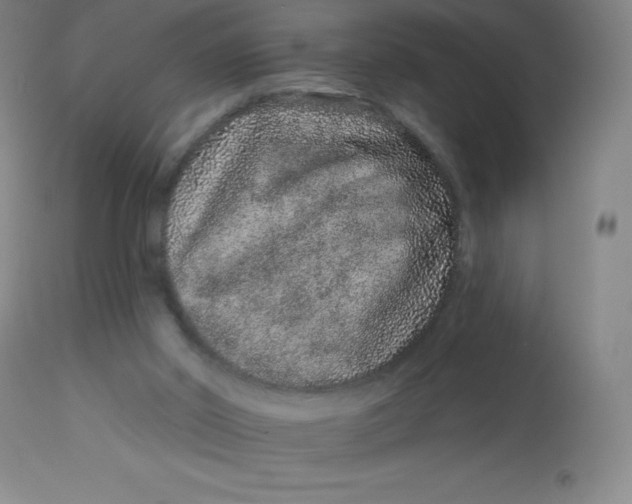 X0000113630014200910091606