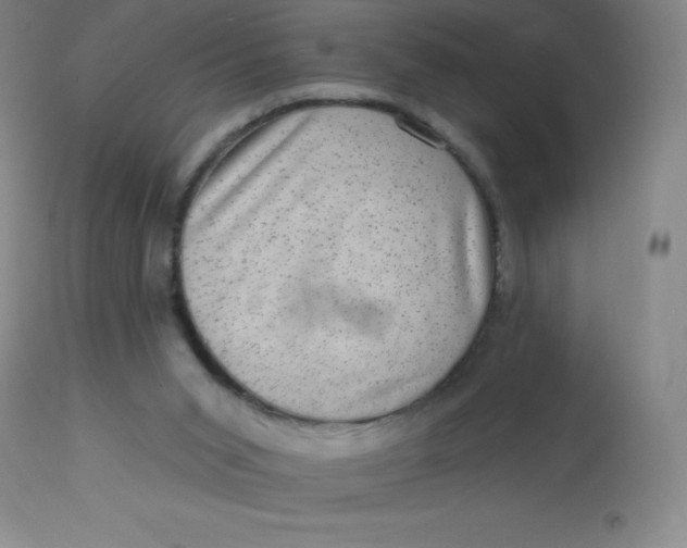 X0000113630015200910091606