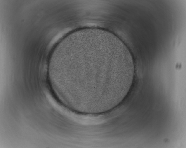 X0000113630016200910091606