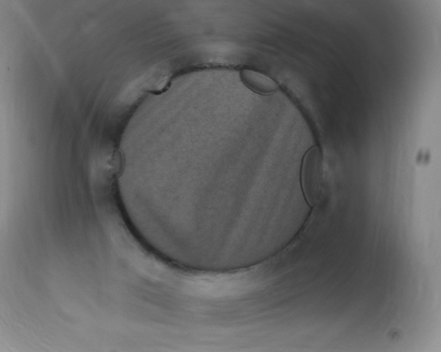 X0000113630017200910091606