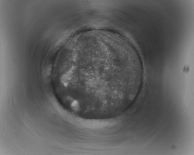 X0000113630018200910091606