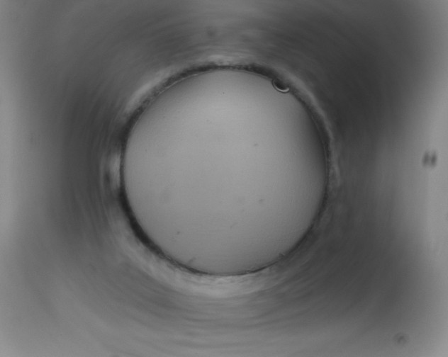 X0000113630019200910091606