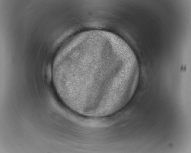 X0000113630020200910091606