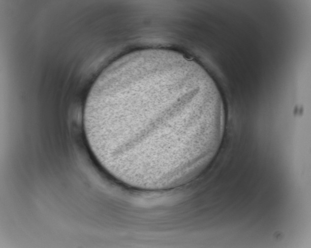 X0000113630021200910091606