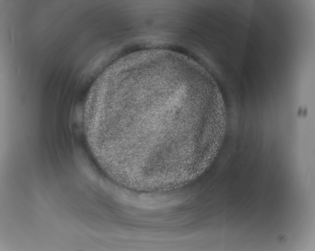 X0000113630022200910091606