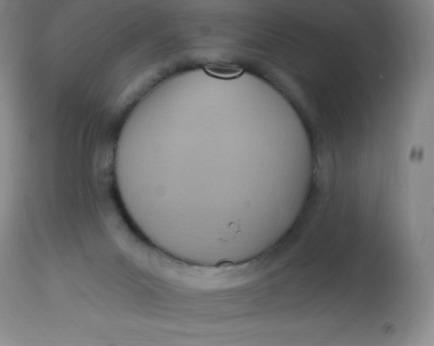 X0000113630023200910091606