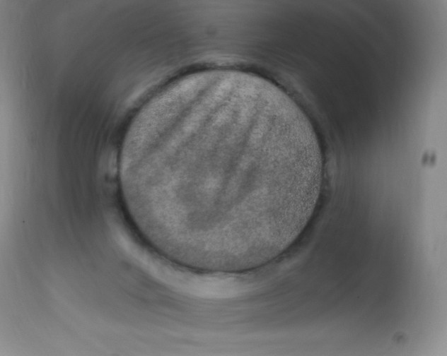 X0000113630024200910091606