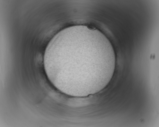 X0000113630025200910091606