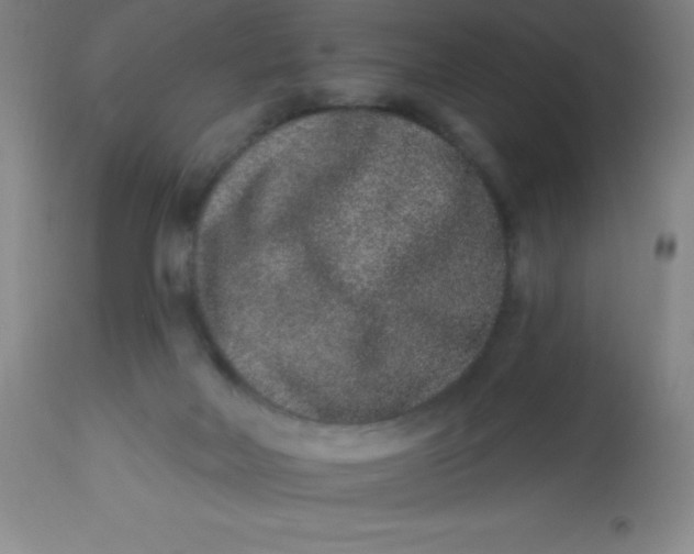 X0000113630026200910091606