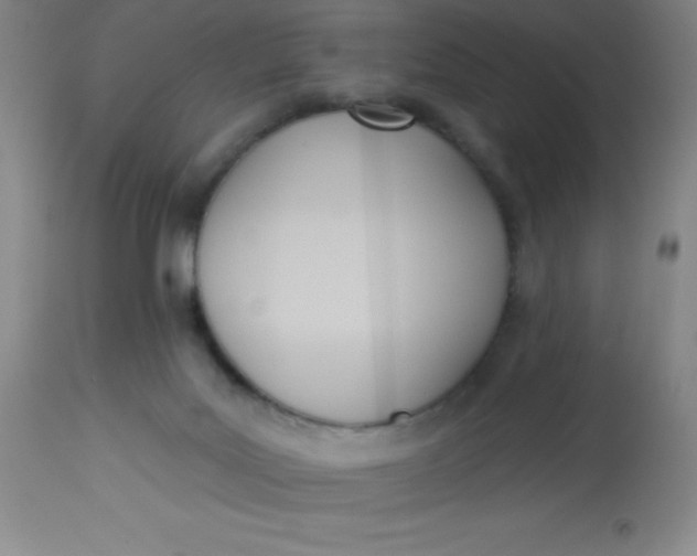 X0000113630027200910091606