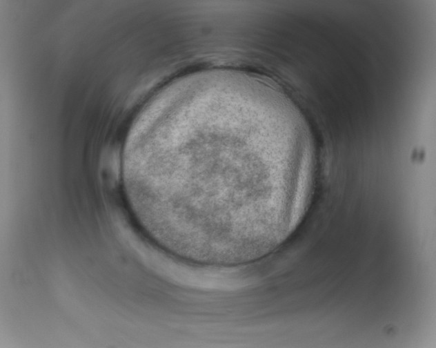 X0000113630028200910091606