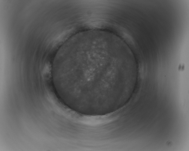 X0000113630029200910091606