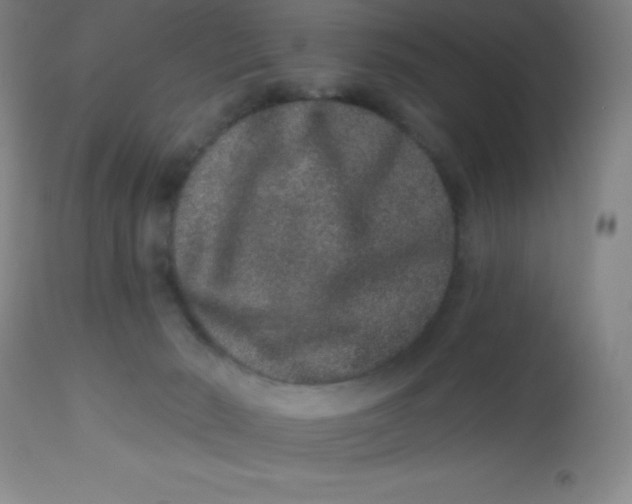 X0000113630030200910091606