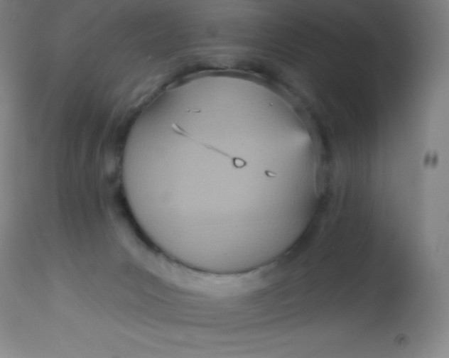 X0000113630031200910091606