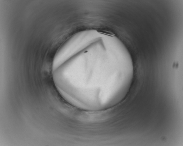 X0000113630033200910091606