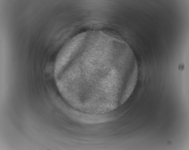 X0000113630034200910091606