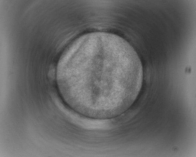 X0000113630036200910091606