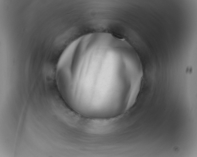 X0000113630037200910091606