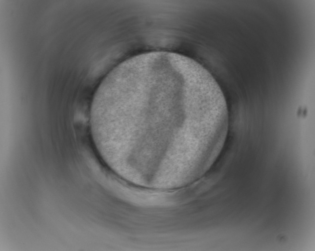 X0000113630040200910091606