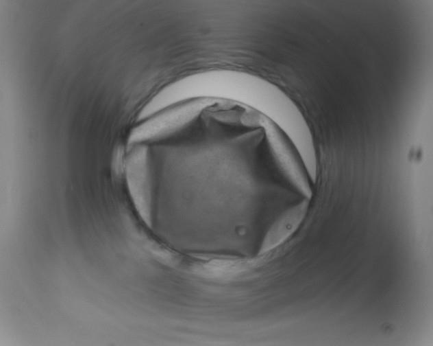 X0000113630041200910091606