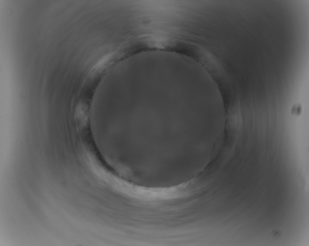 X0000113630043200910091606