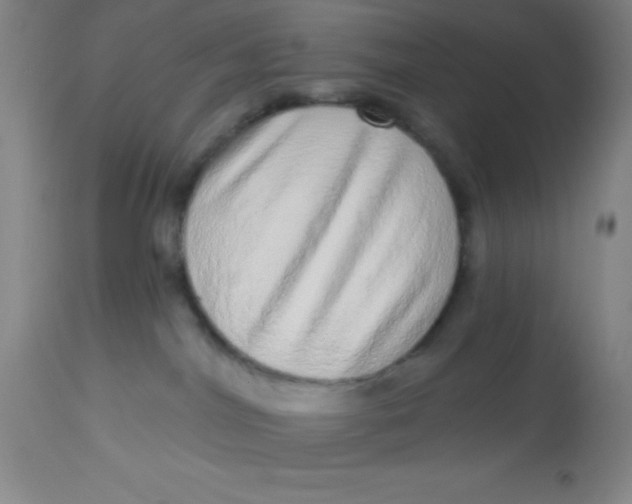 X0000113630044200910091606