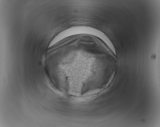 X0000113630045200910091606