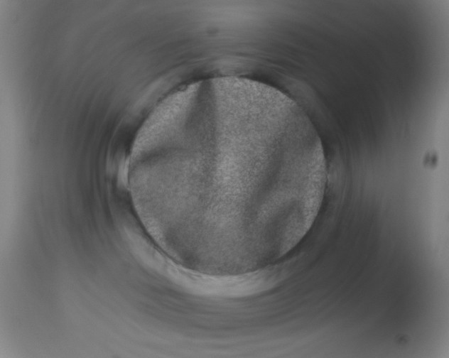 X0000113630046200910091606