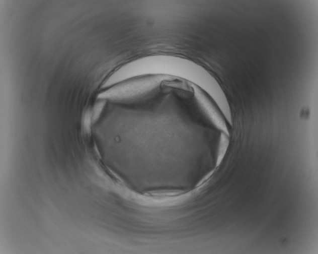 X0000113630047200910091606