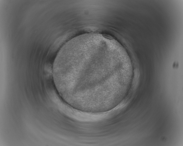 X0000113630048200910091606