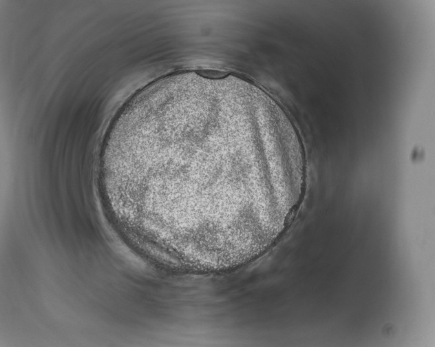 X0000113630049200910091605