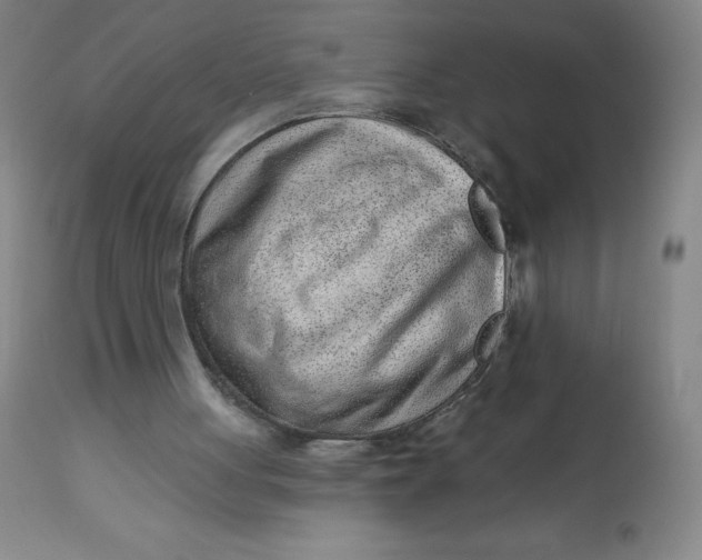 X0000113630051200910091605