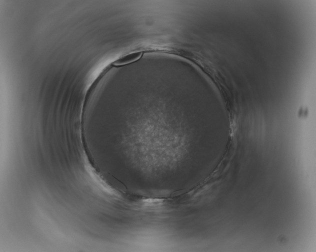 X0000113630052200910091605