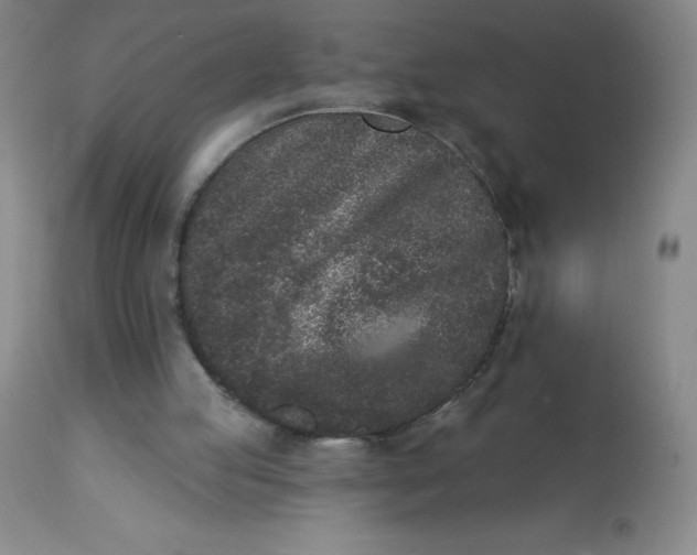 X0000113630053200910091605