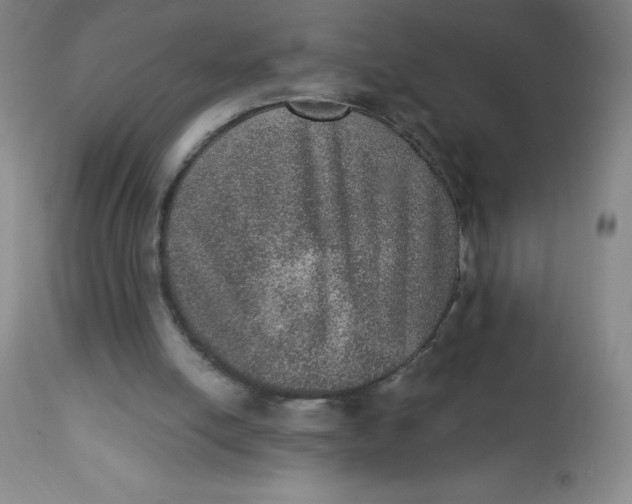 X0000113630054200910091605