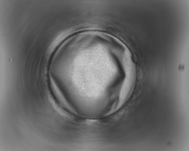 X0000113630055200910091605