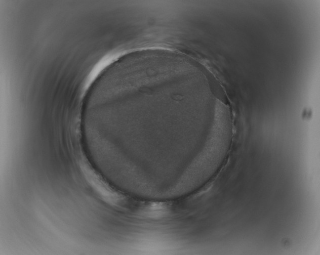 X0000113630056200910091605