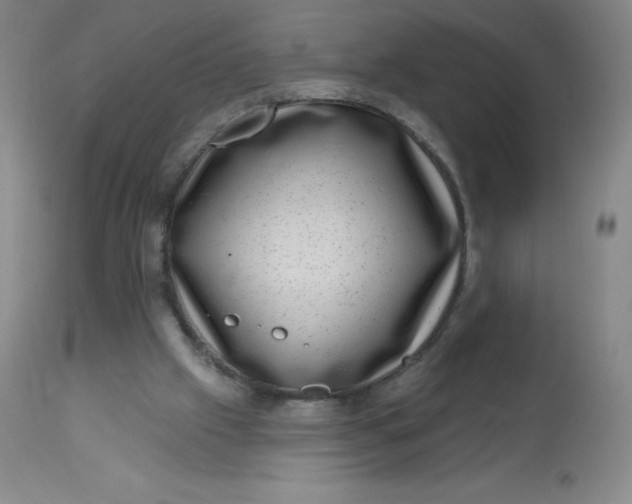 X0000113630057200910091605