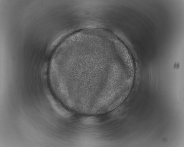 X0000113630058200910091605