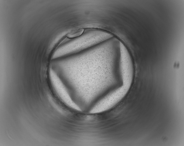 X0000113630060200910091605