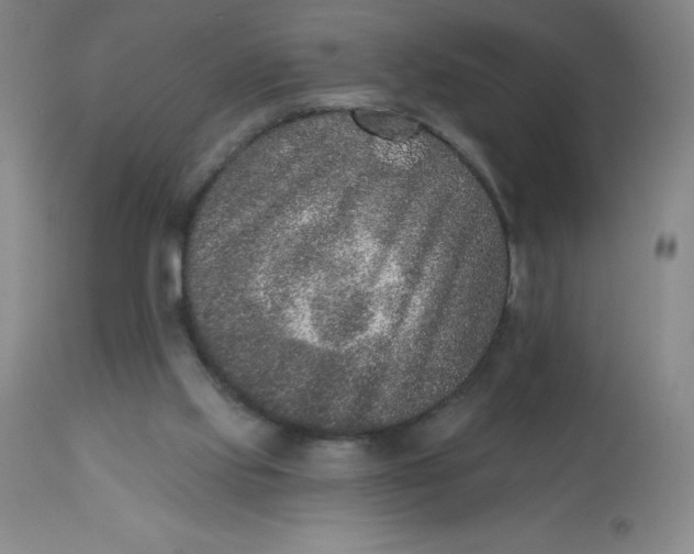 X0000113630061200910091605